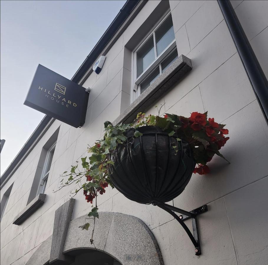 Hillyard House Hotel Castlewellan Extérieur photo